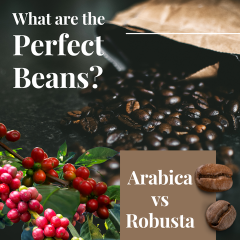 Does the type of coffee bean I get matter for taste?