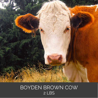 Boyden's Brown Cow Coffee - 2 LB Bag